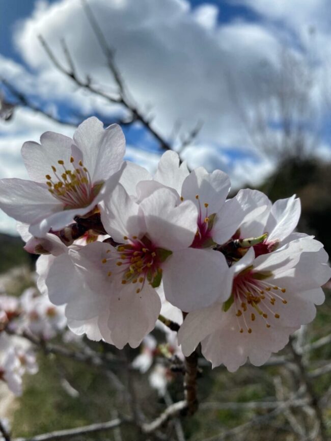 9dcb97ec-4838-445f-bccb-651452a9baca