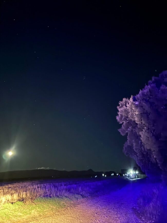 925e3242-772e-4bce-8c87-8c58c06605c2