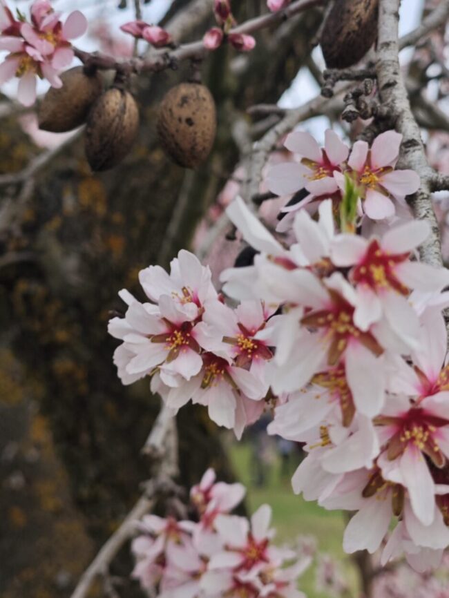 507aacf9-c305-4515-aeb6-fb4f1a79a6ed